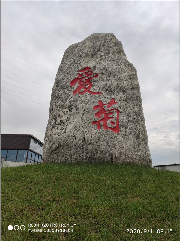傳菜電梯勝利案例：愛菊團體